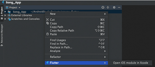 Create Your App With Flutter